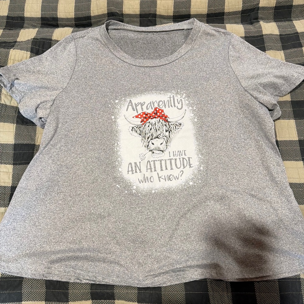 Source Unknown Gray Tee with Attitude Graphic